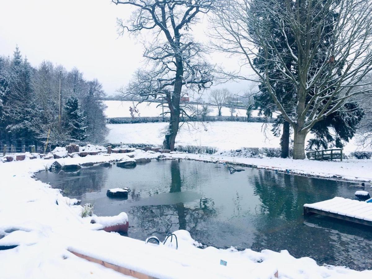 Mid-Wales Farmhouse, Swimming Pool, Tranquil Countryside Views, Sleeps 14 Meifod المظهر الخارجي الصورة