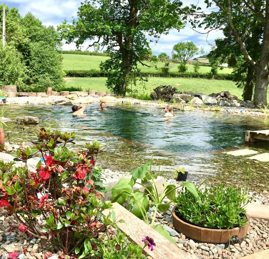 Mid-Wales Farmhouse, Swimming Pool, Tranquil Countryside Views, Sleeps 14 Meifod المظهر الخارجي الصورة