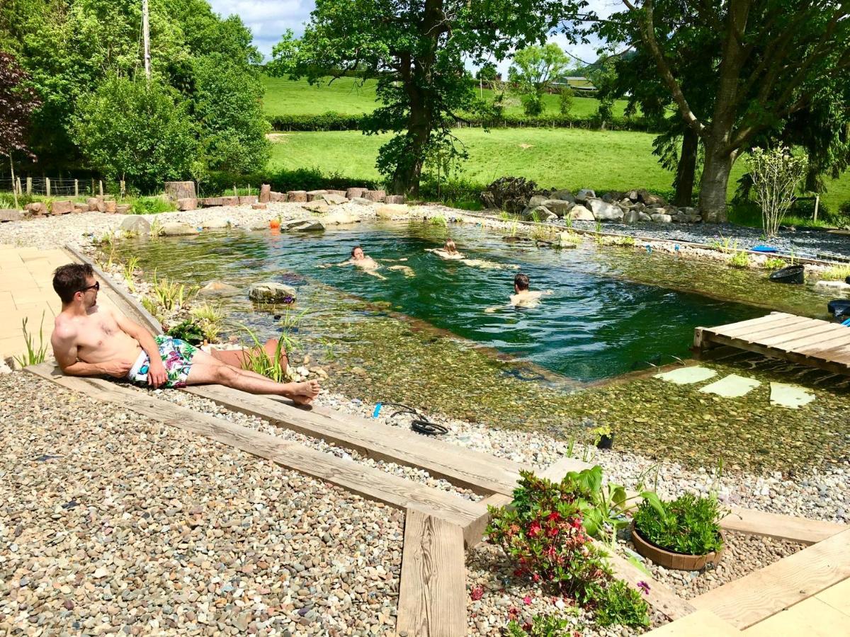Mid-Wales Farmhouse, Swimming Pool, Tranquil Countryside Views, Sleeps 14 Meifod المظهر الخارجي الصورة