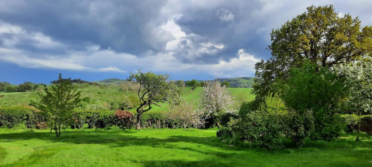 Mid-Wales Farmhouse, Swimming Pool, Tranquil Countryside Views, Sleeps 14 Meifod المظهر الخارجي الصورة